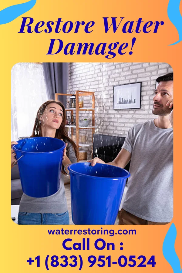 water restoration Eco Recovery & Associates Lockport
