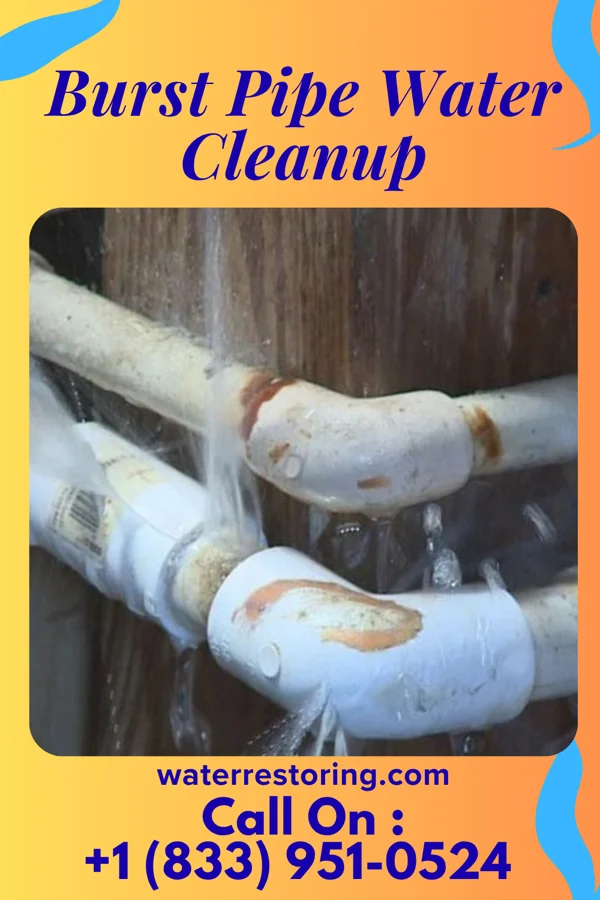 Burst Pipe Water Cleanup in Lockport, NY