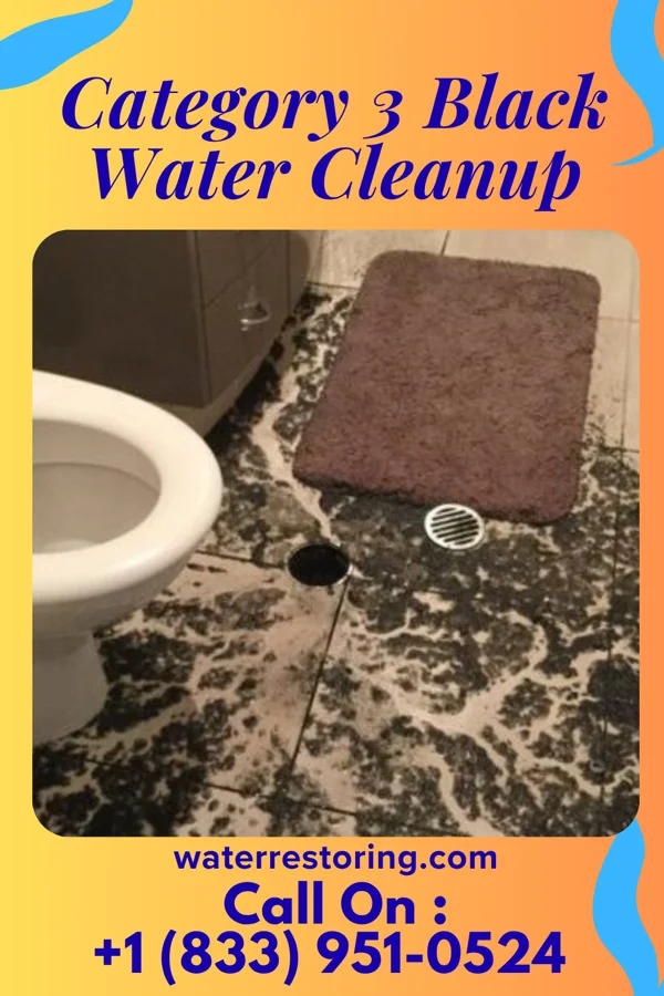 Category 3 Black Water Cleanup in Lockport, NY